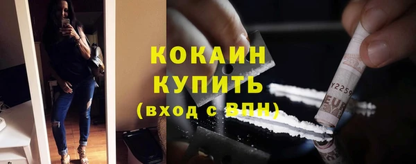 шишки Туринск
