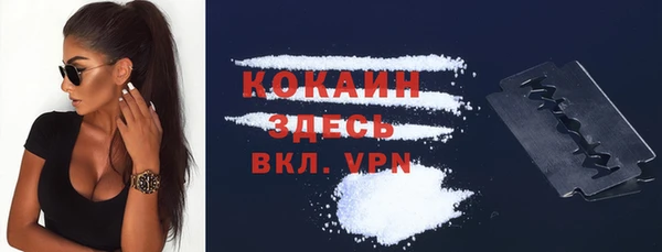 шишки Туринск