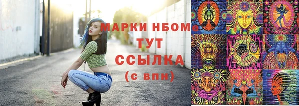 шишки Туринск