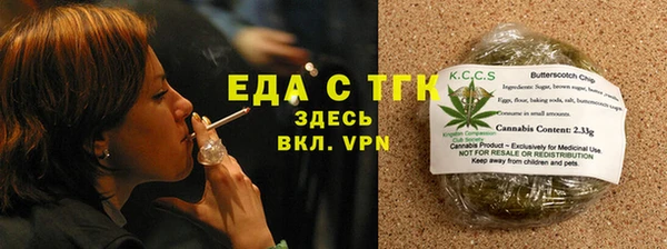 шишки Туринск