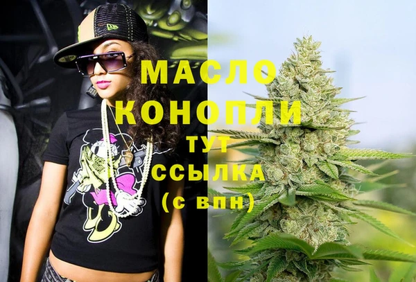 шишки Туринск
